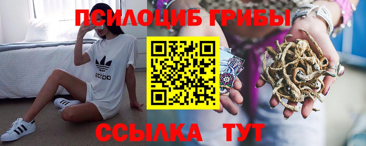 Псилоцибиновые грибы Cubensis  Вход с VPN  Новодвинск 