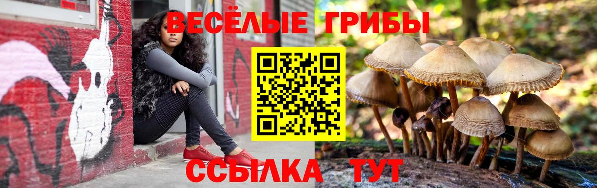 Меф МЯУ МЯУ кристаллы  Вход с VPN  Мефедрон  А ПВП СК   Как найти закладки?  Кокаин  Экстази  Новодвинск  Марихуана  ГАШИШ  МДМА 